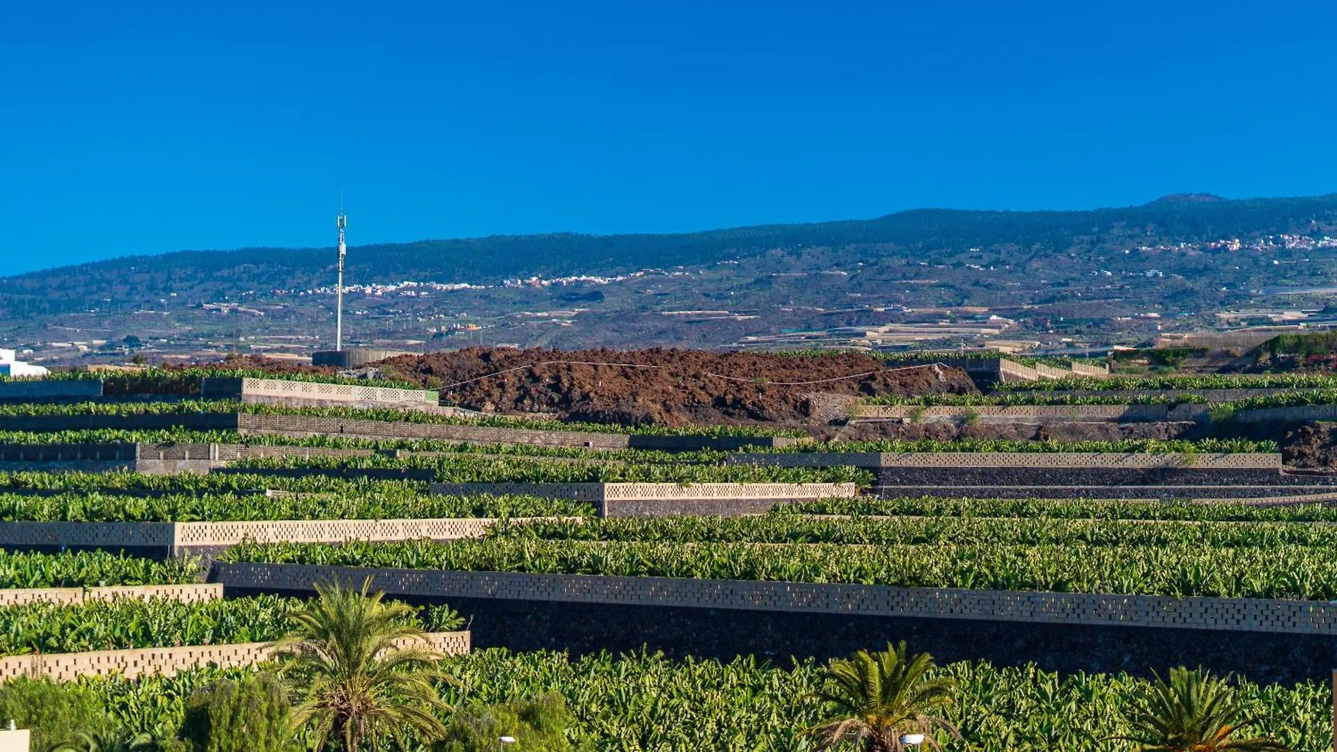 Green House - Modern Villa In Tenerife, Spain Guía de Isora Spanien